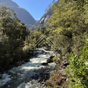 Rushing River Through Beech Forest Valley, Milford Road, New Zealand
