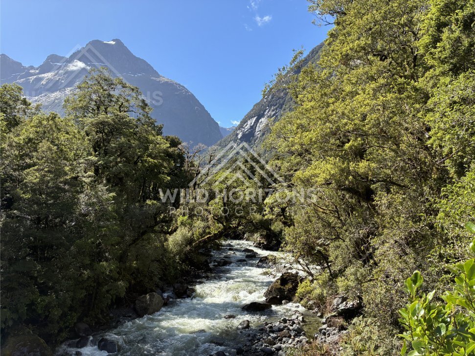 Mountain River Bend Beneath Snowy Peaks, Milford Road, New Zealand