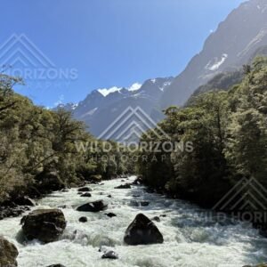 Rocky Rapids in a Narrow Alpine River Gorge, Milford Road, New Zealand