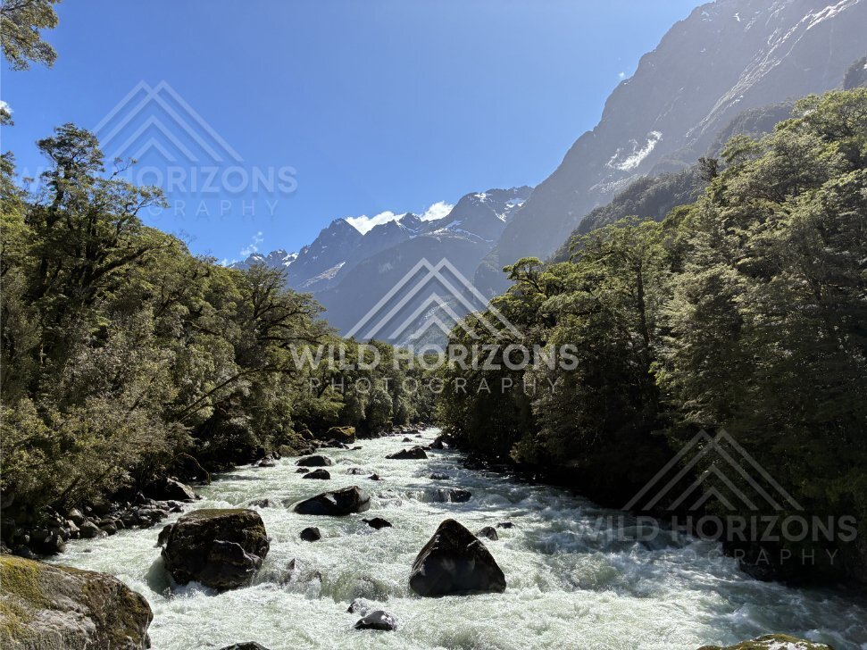 Rocky Rapids in a Narrow Alpine River Gorge, Milford Road, New Zealand