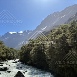 Sunlit Fiordland River and Forested Banks, Milford Road, New Zealand