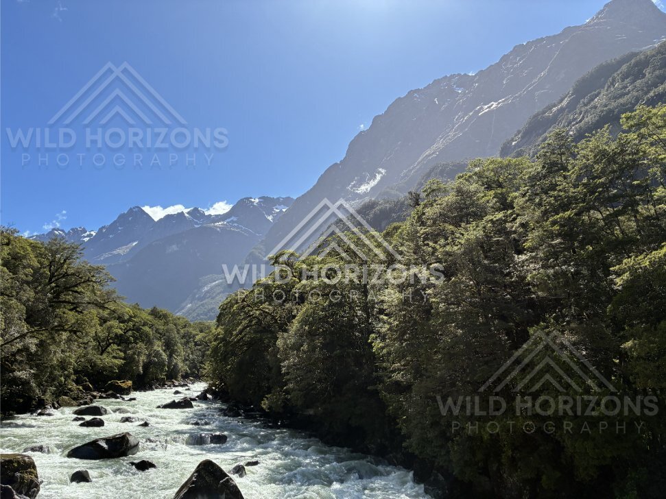 Sunlit Fiordland River and Forested Banks, Milford Road, New Zealand