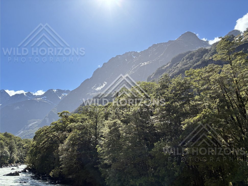 Forest Canopy Below a Fiordland Peak and Sun Flare, Milford Road, New Zealand