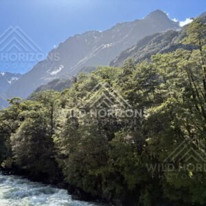 Fiordland Waterfall on a Distant Cliff Above River, Milford Road, New Zealand