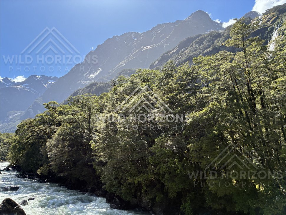Fiordland Waterfall on a Distant Cliff Above River, Milford Road, New Zealand
