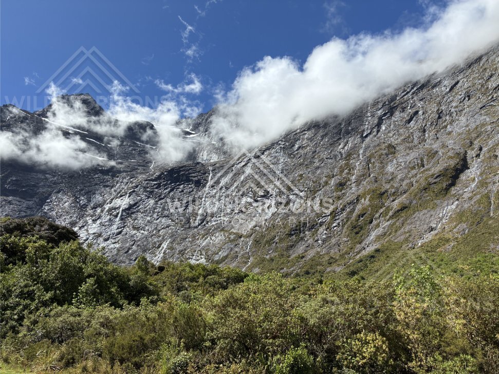Low Cloud Sliding Over Granite Walls, Milford Road, New Zealand