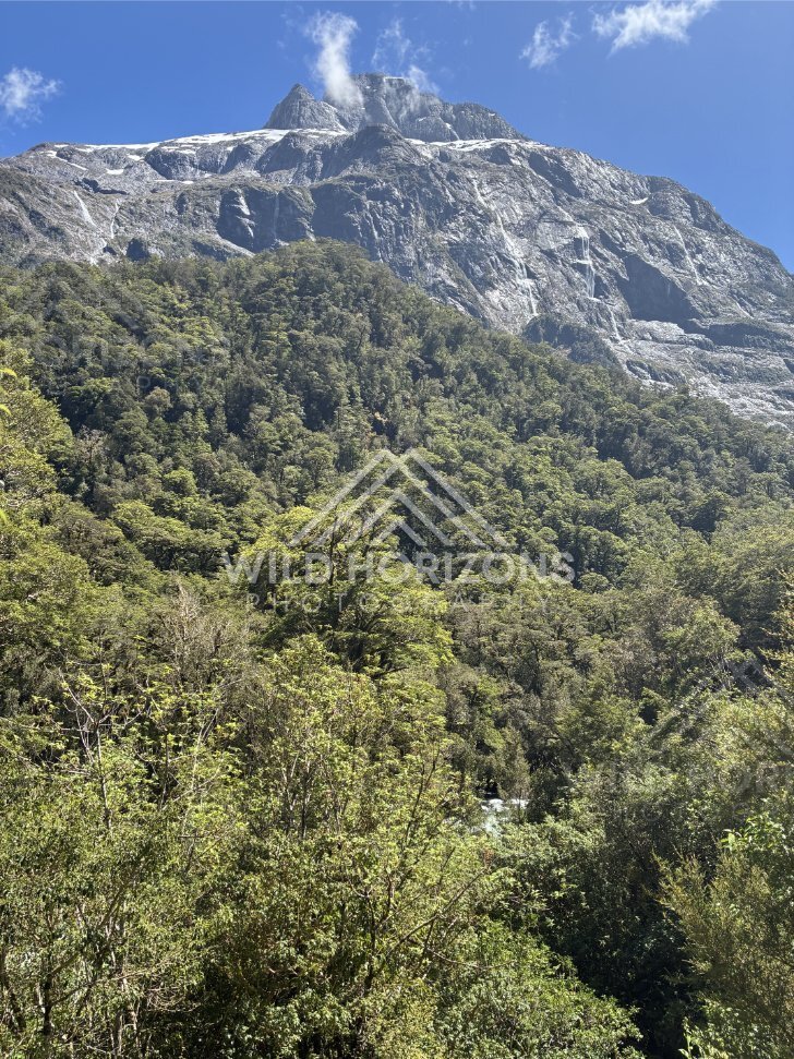Granite Peak Rising Above Fiordland Rainforest, Milford Road, New Zealand
