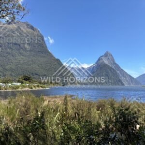 Mitre Peak Over Still Waters, Milford Sound, New Zealand