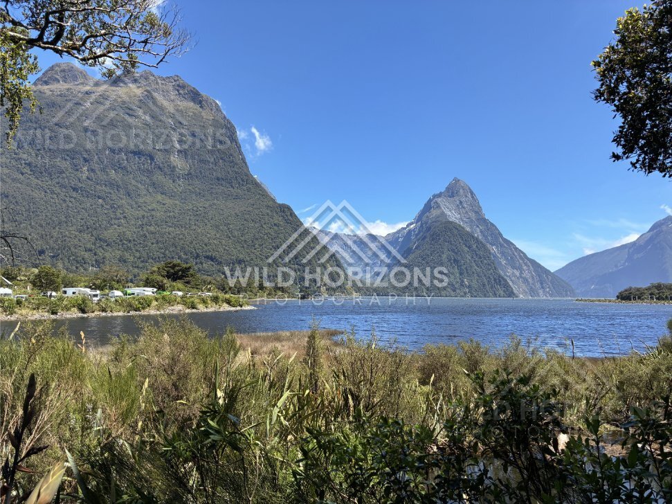 Mitre Peak Over Still Waters, Milford Sound, New Zealand