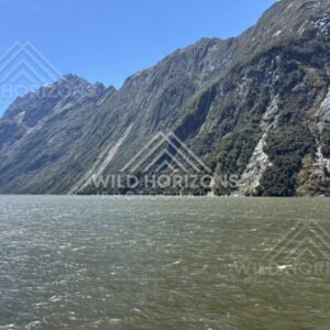 Fiord Cliffs Above Choppy Water, Milford Sound, New Zealand