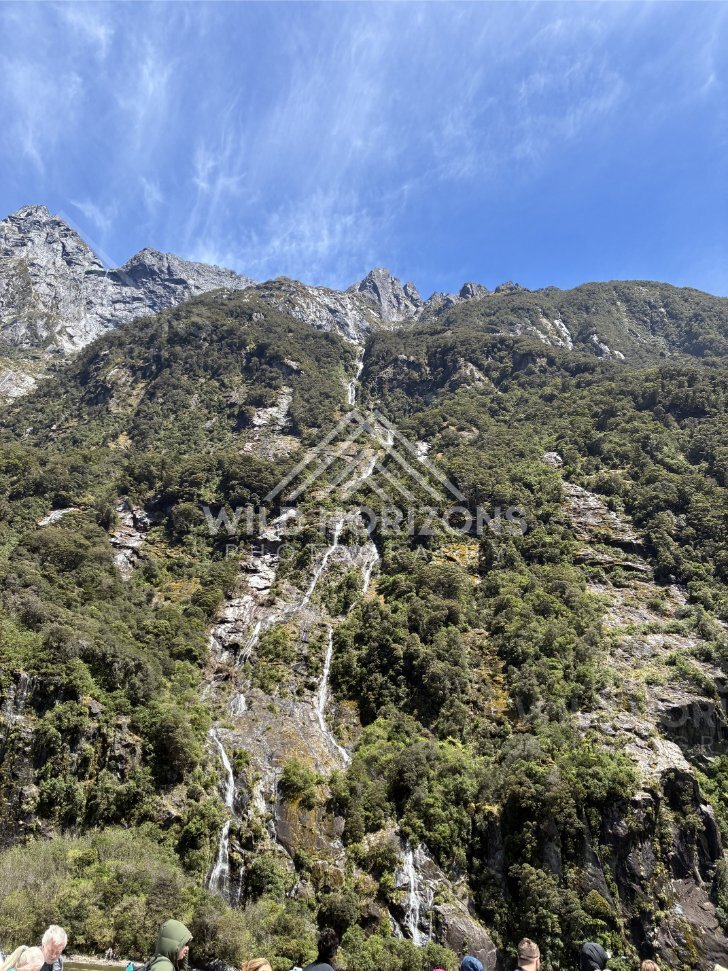 Hanging Falls on Green Cliff, Milford Sound, New Zealand