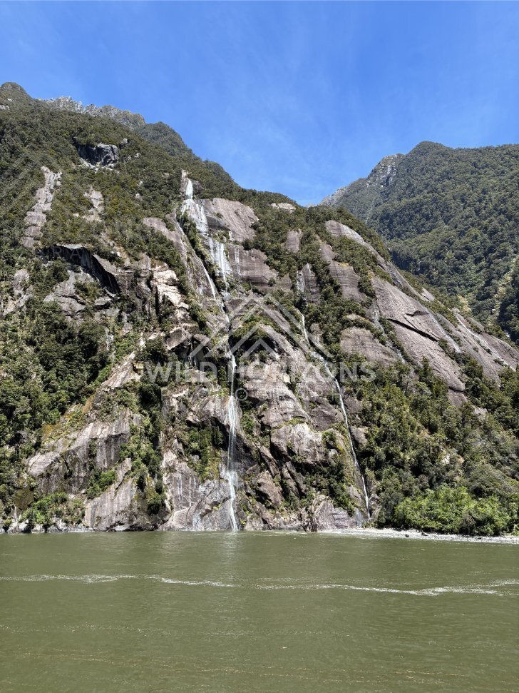 Rocky Headland and Fiord Water, Milford Sound, New Zealand