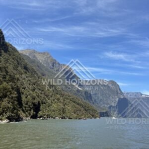 Looking Down Milford Sound, Fiordland National Park, New Zealand