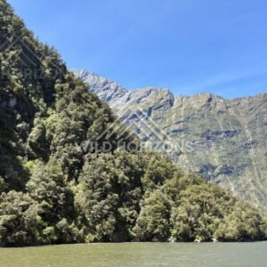 Mountain wall with a thin waterfall streak, Milford Sound, New Zealand