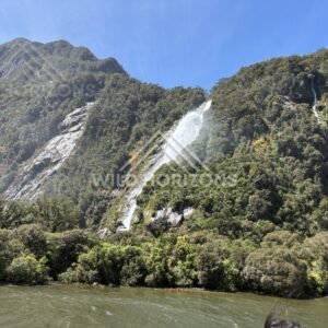 Diagonal cascade and twin falls on Fiordland hillside, Milford Sound, New Zealand