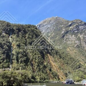 Waterfall above Milford Sound wharf and boats, New Zealand