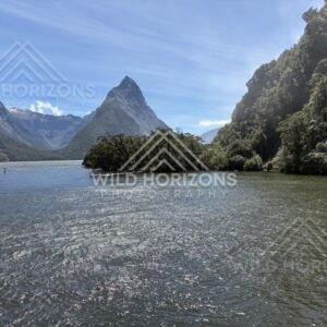 Mitre Peak with sunlit water and forested shore, Milford Sound, New Zealand