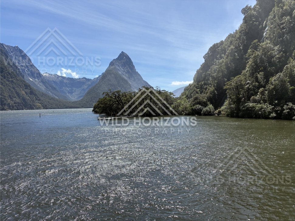 Mitre Peak with sunlit water and forested shore, Milford Sound, New Zealand