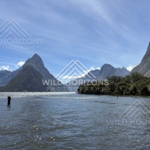 Mitre Peak framed by channel markers, Milford Sound, New Zealand