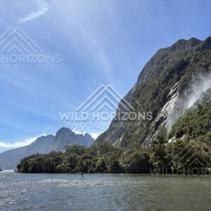 Cliffside waterfall drifting into Milford Sound, New Zealand
