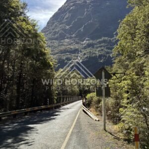 Forest road bridge beneath towering Fiordland mountain, Milford Road, New Zealand