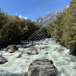 Glacial River Surging Beneath Fiordland Peaks. New Zealand