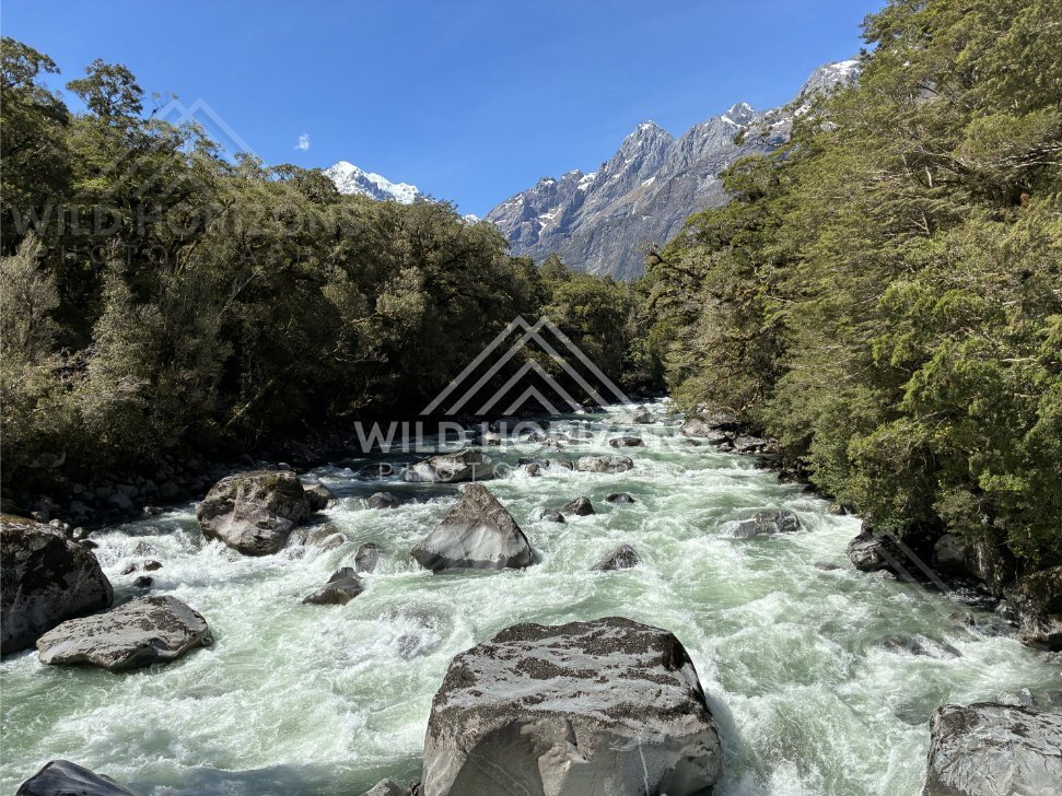 Glacial River Surging Beneath Fiordland Peaks. New Zealand