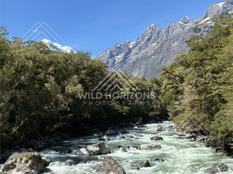Glacial Stream Flowing Toward Snow-Capped Peaks. New Zealand