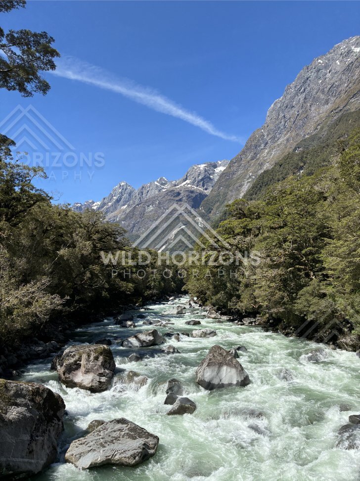 Rocky Rapids Framed by Dense Native Forest. New Zealand