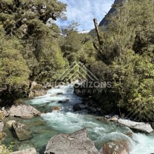 Clear River Bending Through Mossy Bush. New Zealand