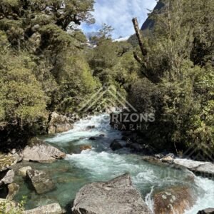 Fast Flowing Stream with Overhanging Trees. New Zealand