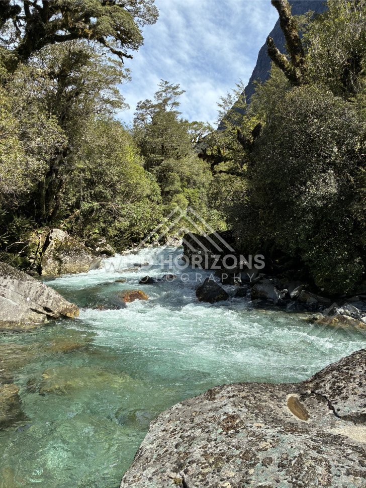 Shallow Glacial Pool Beside Rushing Channel. New Zealand