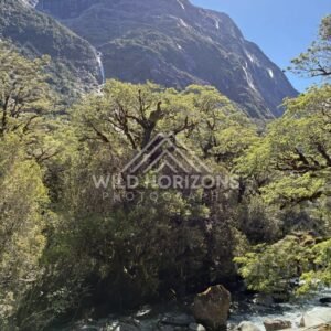 Tall Waterfall Visible on Distant Cliff Face. New Zealand