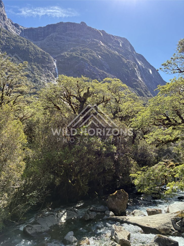Tall Waterfall Visible on Distant Cliff Face. New Zealand