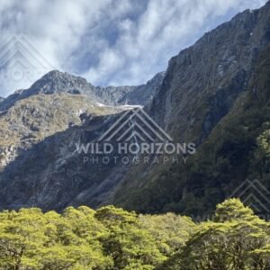Mountain Gorge and Native Forest on Milford Road New Zealand