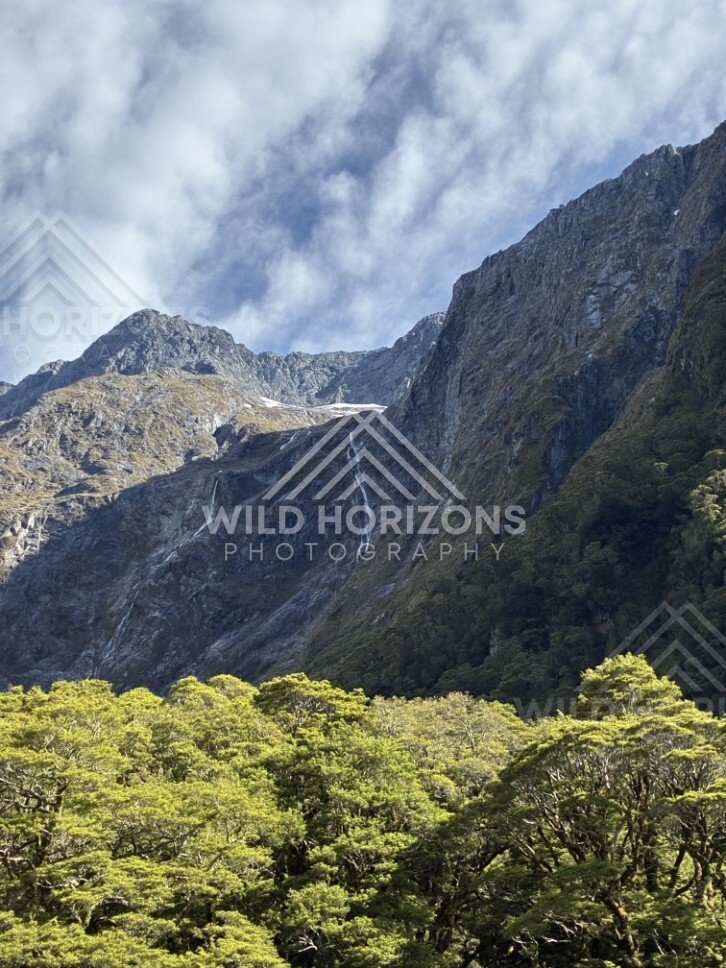 Mountain Gorge and Native Forest on Milford Road New Zealand