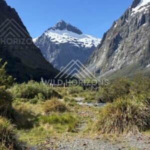 Mountain Stream and Valley Floor on Milford Road New Zealand