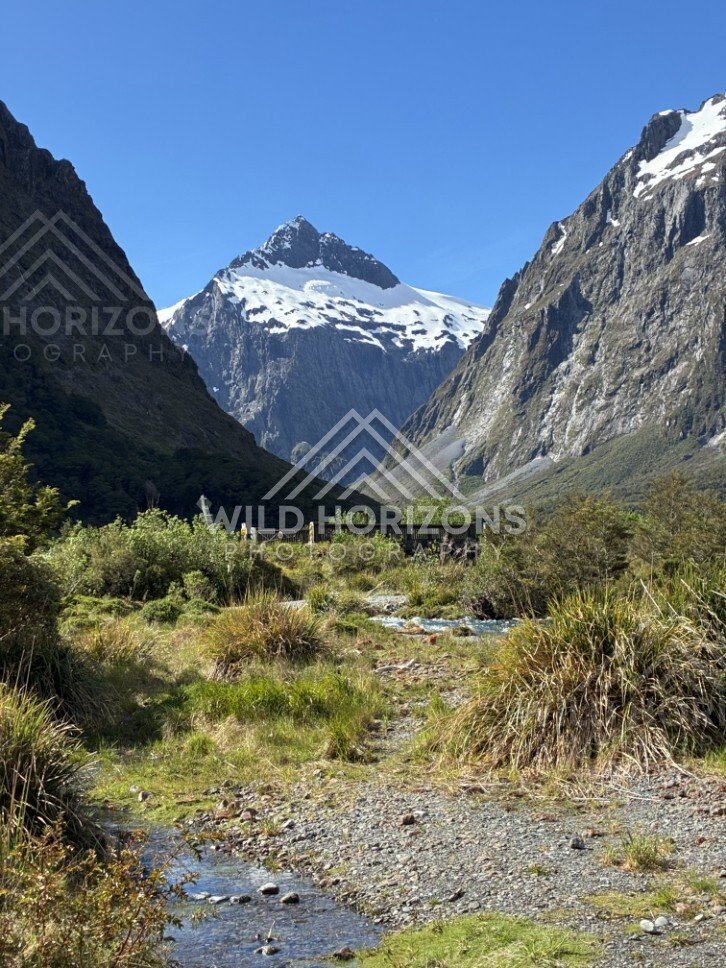 Mountain Stream and Valley Floor on Milford Road New Zealand