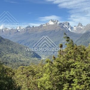 Forest View Toward Distant Peaks on Milford Road New Zealand