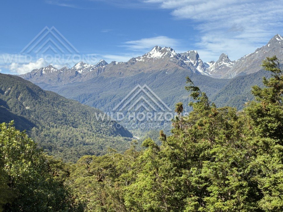 Forest View Toward Distant Peaks on Milford Road New Zealand