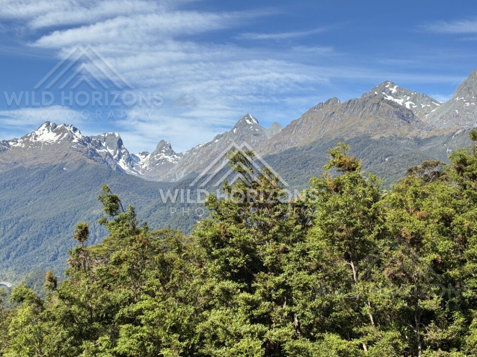 Native Bush and Mountain Ranges on Milford Road New Zealand