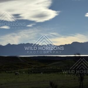 Evening Light Over Te Anau Downs New Zealand