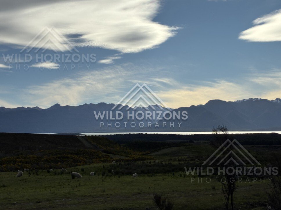 Evening Light Over Te Anau Downs New Zealand