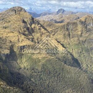 Golden High Country Ridges in Fiordland. Fiordland, New Zealand.