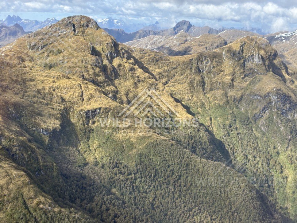 Golden High Country Ridges in Fiordland. Fiordland, New Zealand.