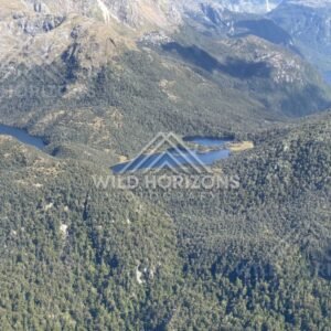 Series of alpine lakes within forested high country. Fiordland, New Zealand.