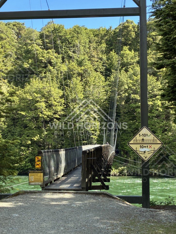 Quiet roadside bridge beside forested reserve. Manapouri, New Zealand.
