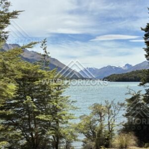 Lakeside trees framing mountain lake view. Manapouri, New Zealand.