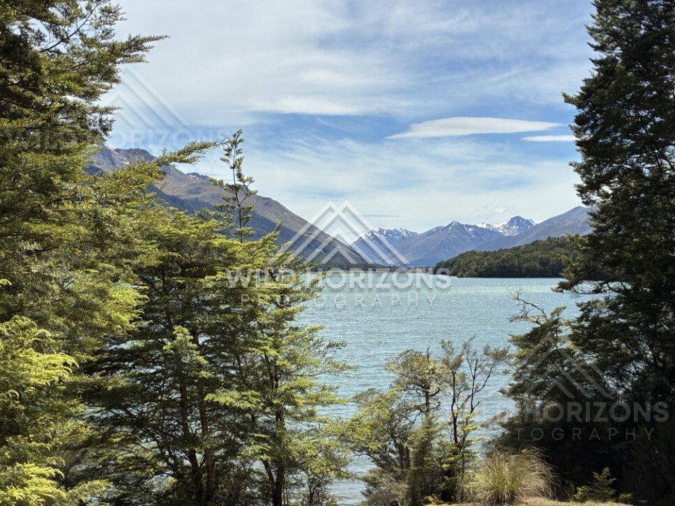Lakeside trees framing mountain lake view. Manapouri, New Zealand.