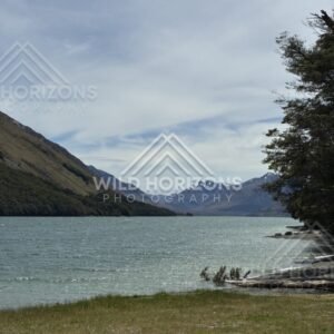 Mountain lake framed by forested slopes. Manapouri, New Zealand.